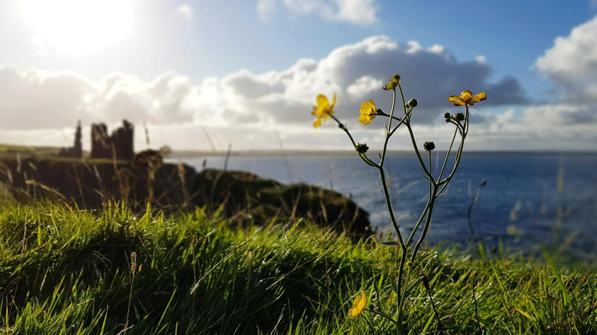 Self-catering Lighthouse Keeper's On The Nc500 * Wick (Highlands)
