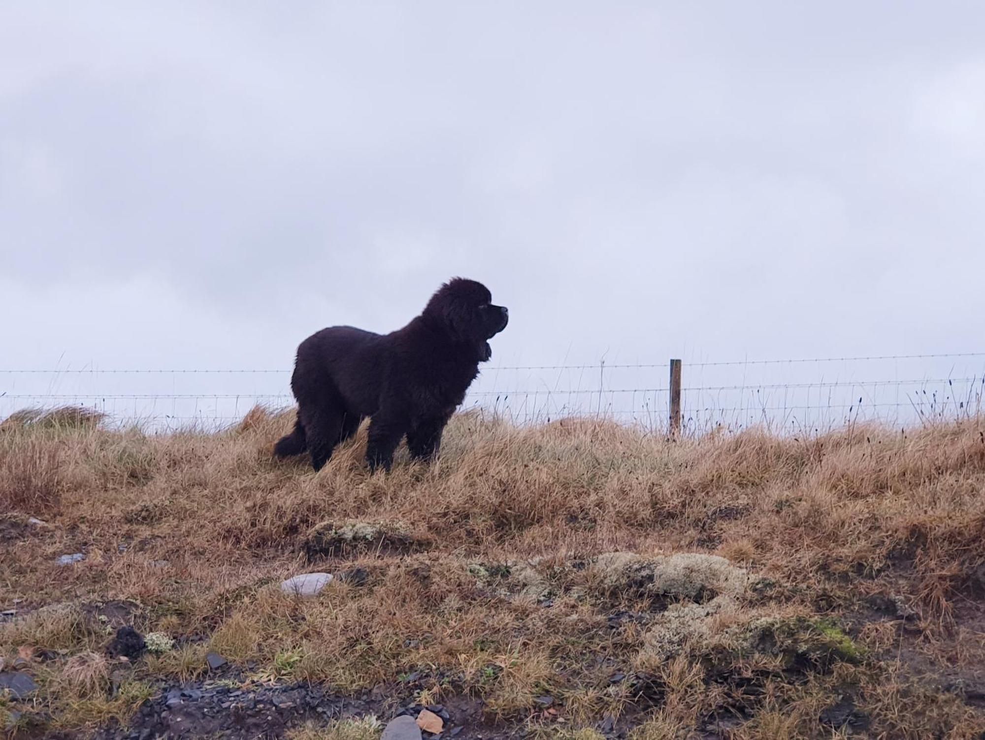 Self-catering Lighthouse Keeper's On The Nc500 *